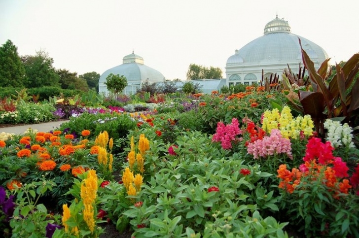 Bronx Botanical Garden Things To Do In The Bronx | Visit Image 303