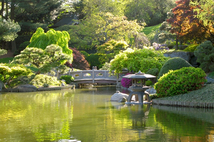 Brooklyn Botanic Garden Best 6 Things To Do Outdoors In Brooklyn – Ihg Travel Blog Picture 185