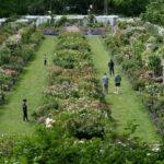 Brooklyn Botanic Garden Highrises Could Cast Shadow Over Brooklyn Botanical Garden Photo 412