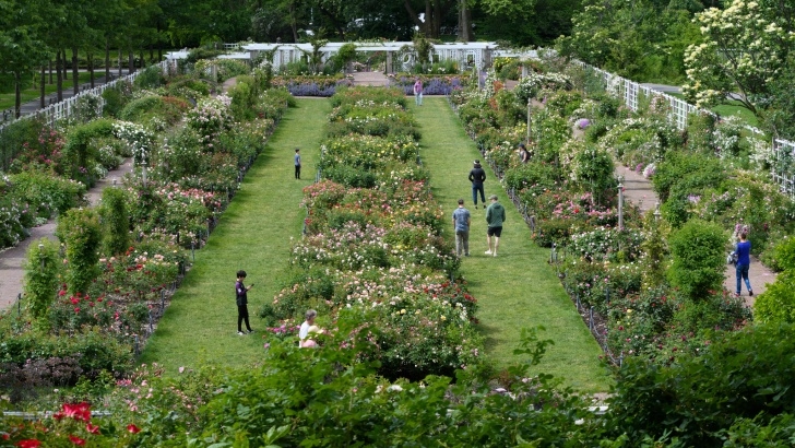 Brooklyn Botanic Garden Highrises Could Cast Shadow Over Brooklyn Botanical Garden Photo 412