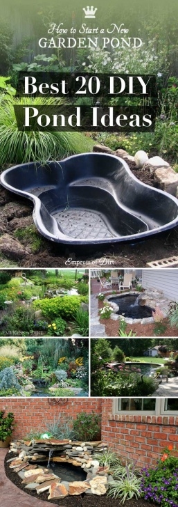 Building A Backyard Pond 20 Innovative Diy Pond Ideas Letting You Build A Water Picture 613
