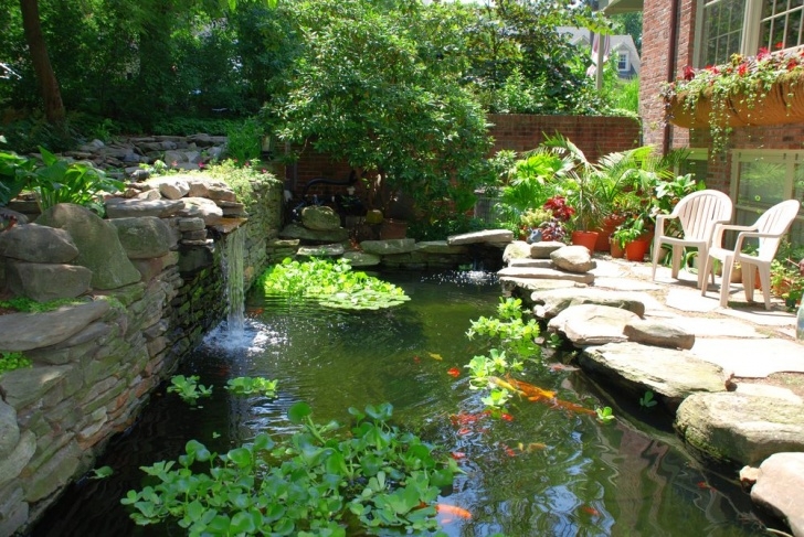 Building A Backyard Pond Building A Koi Pond Or Garden Pond | How To Take Care Of Image 117