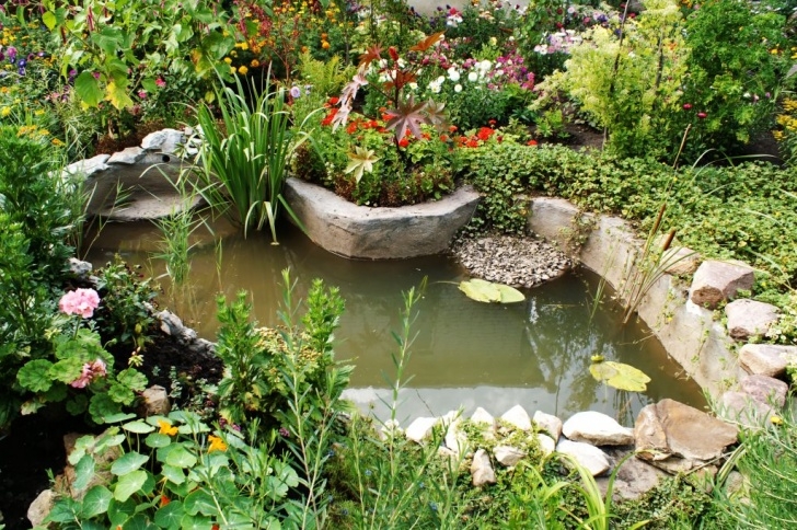 Building A Backyard Pond How To Build A Pond - A Beginners Guide To Building The Picture 599