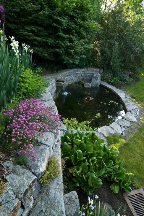 Building A Backyard Pond Private Gardens Design · More Info Photo 917