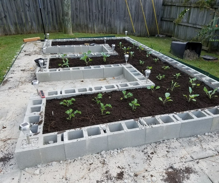 Building A Raised Garden Bed With Landscape Blocks Build A Concrete Block Garden For Food And Memories Photo 825