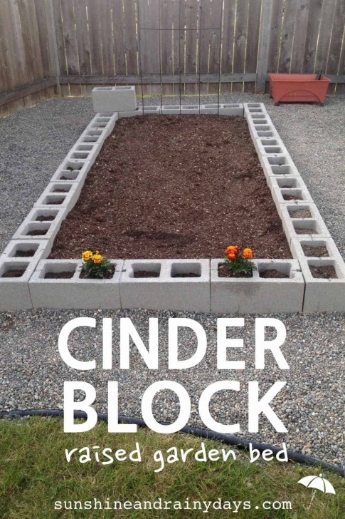 Building A Raised Garden Bed With Landscape Blocks How To Build A Cinder Block Raised Garden Bed - Sunshine Image 313