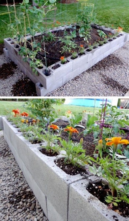 Building A Raised Garden Bed With Landscape Blocks Raised Garden Bed From Cinder Blocks | Click Pic For 20 Image 595