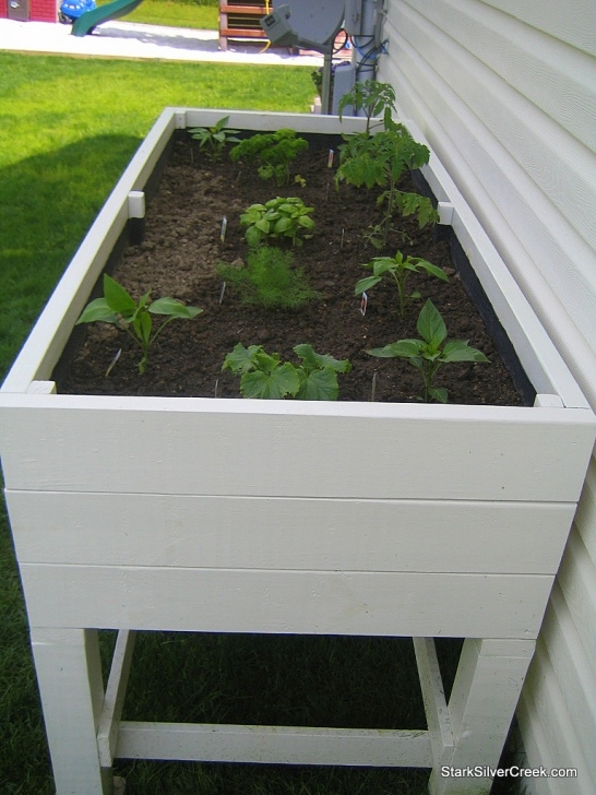 Building A Vegetable Garden All-Star: Loni'S Vegetable Garden, Planter Box How-To Photo 542