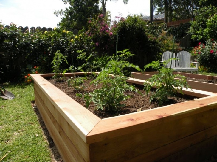 Building A Vegetable Garden Building Vegetable Boxes For A Greek Garden - California Photo 533