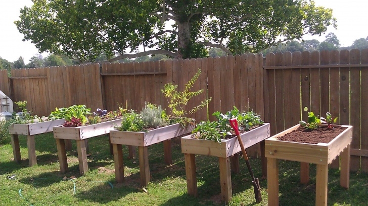 Building A Vegetable Garden Furniture-Creative-Diy-Backyard-Vegetable-Garden-House Image 404