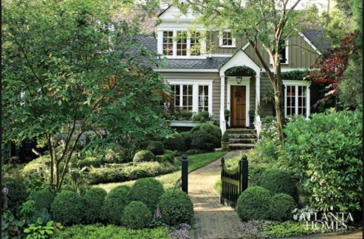 Bushes For Landscaping In Front Of House Large Green Beauty Boxwood Shrubs For The Landscape Photo 659
