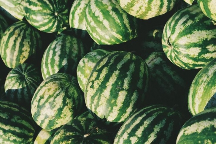 Cantaloupe Companion Plants Companion Planting For Melons | Companion Planting Photo 566