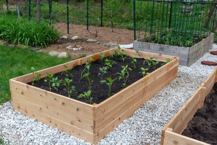 Cedar Raised Garden Bed Plans Raised Cedar Garden Beds Plans | Fasci Garden Image 864