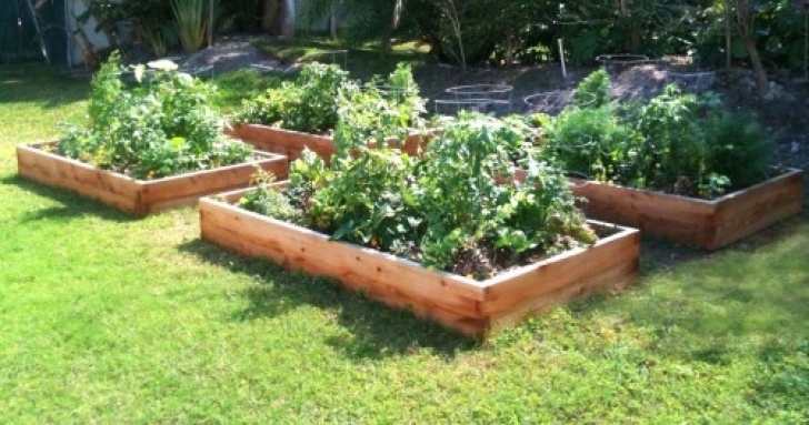 Cedar Raised Garden Bed Plans Raised Garden Bed Plans Cedar | The Garden Inspirations Photo 475