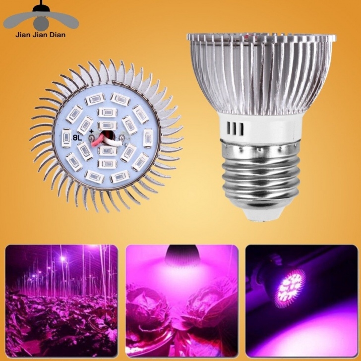 Cfl Grow Lights For Indoor Plants Full Spectrum Cfl Led Grow Light E27 Lampada 30W 50W 80W Image 195