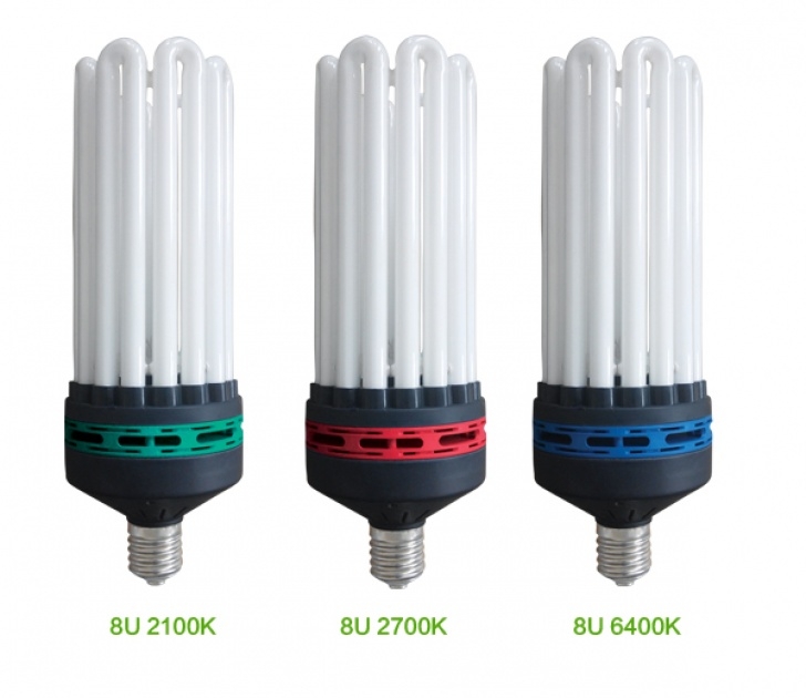 Cfl Grow Lights For Indoor Plants How Long Do Seeds Last And How Can You Tell If They'Ll Sprout? Image 067