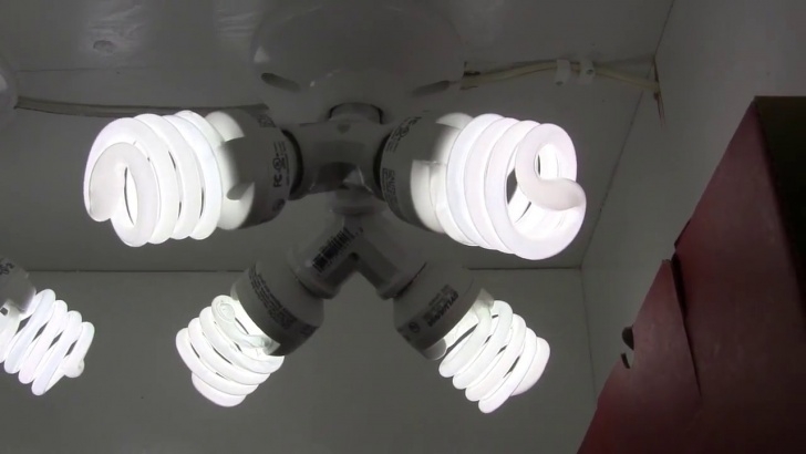 Cfl Grow Lights For Indoor Plants How To Build A 184 Watt Cfl Grow Light For Overwintering Picture 014