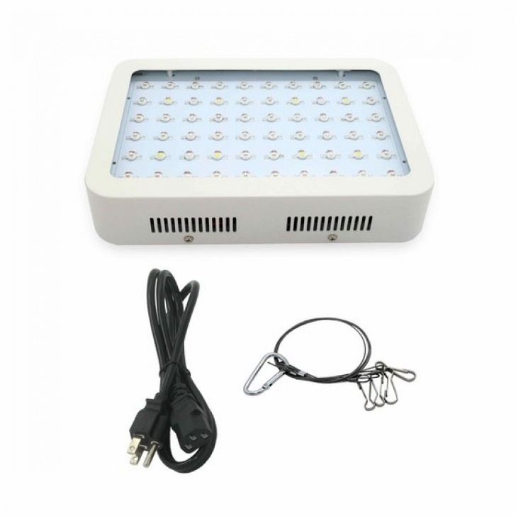 Cfl Grow Lights For Indoor Plants Hydroponic Full Spectrum Led Grow Lights For Indoor Plants Image 804