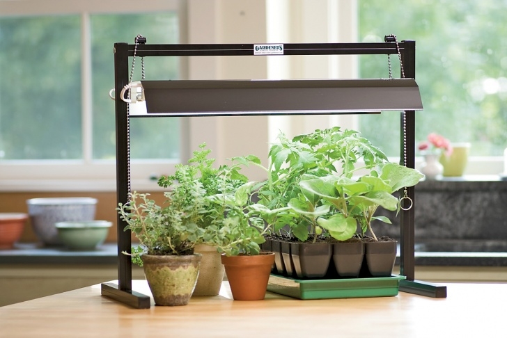 Cfl Grow Lights For Indoor Plants Indoor Plant Grow Light Stand Image 858