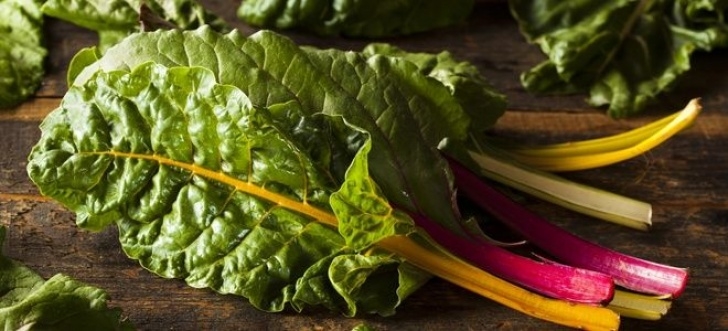 Chard Companion Plants Using Swiss Chard As A Companion Plant | Recipes, Green Image 156