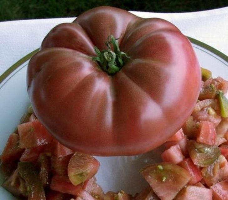 Cherokee Purple Tomato Plant Seeds &amp; Bulbs - Tomato Seeds Cherokee Purple - 10 Tomato Picture 047
