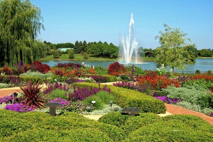 Chicago Botanic Garden Chicago Botanic Garden And Rare Plants! Pinned By # Photo 535