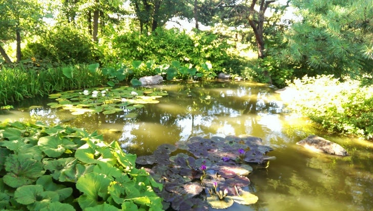 Chicago Botanic Garden Chicago Botanic Garden Image 310