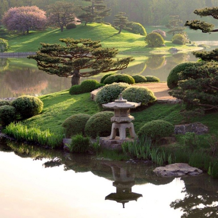Chicago Botanic Garden Gardens: The World’s Oldest Therapists – National Picture 087