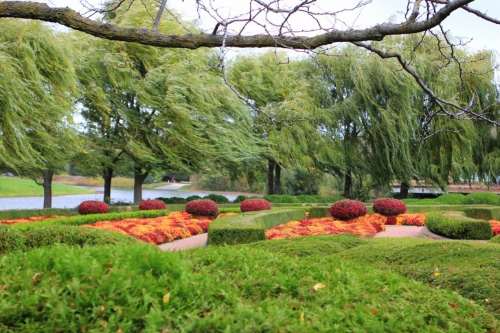 Chicago Botanic Garden Romancing The Home: Fall Color At The Chicago Botanic Gardens Image 100