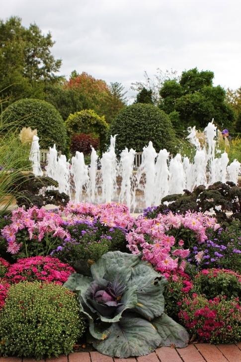 Chicago Botanic Garden Romancing The Home: Fall Color At The Chicago Botanic Gardens Image 260
