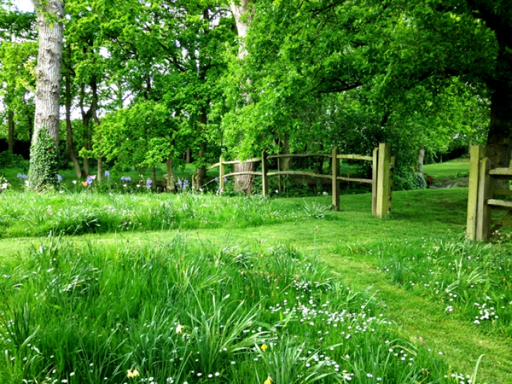 Classic Gardens And Landscaping Classic English Country Garden - Sue Townsend Garden Design Photo 165
