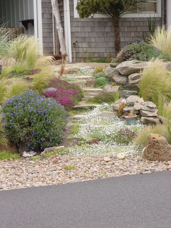 Coastal Garden Designs West Coastal Garden | Seaside Garden, Beach Theme Garden Picture 392
