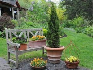 Columnar Trees For Small Gardens Punctuating The Garden: Columnar Evergreens - A Way To Garden Picture 671