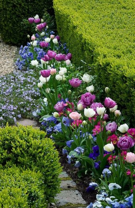 Companion Planting Flowers Pin On Envy Picture 830