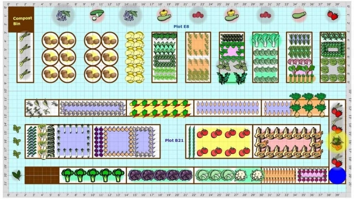 Companion Planting Garden Layout Garden Plans Gallery - Find Vegetable Garden Plans From Photo 991