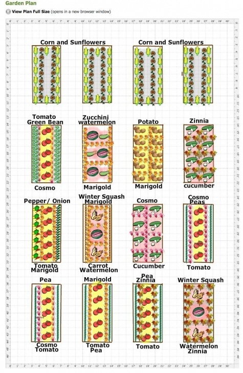 Companion Planting Garden Layout Ideas For Vegetable Garden Layout Perfect Vegetable Garden Picture 855