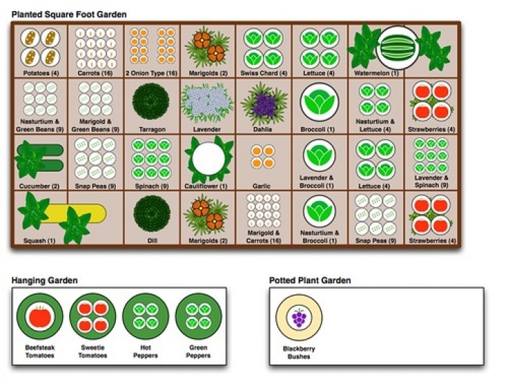 Companion Planting Garden Layout Mcintyre Square Foot Garden Plan | You Don'T Plan To Fail Image 662