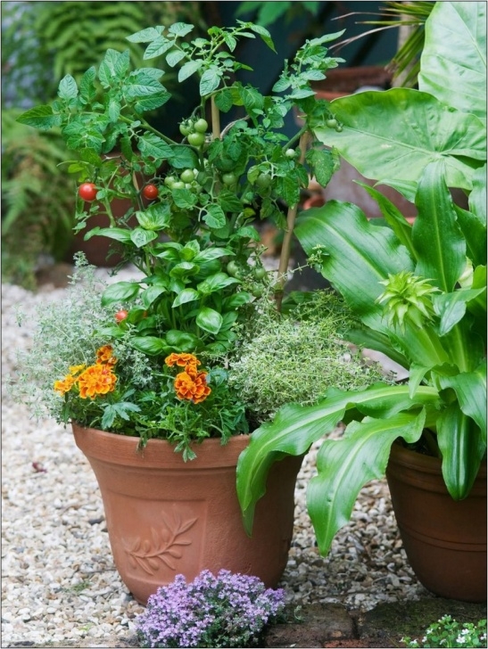 Companion Planting Herbs In Pots Vegetable Companion Planting In Containers | Home And Picture 192
