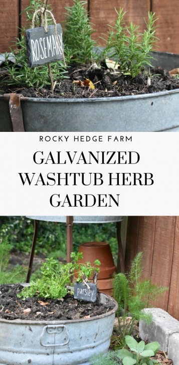 Companion Planting Herbs In Pots Vintage Galvanized Garden Tub Planters | Vertical Herb Photo 369