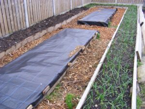 Compost For Raised Beds Mulching And Raised Beds | Gardening & Permaculture Design Image 056 Compost For Raised Beds Mulching And Raised Beds | Gardening & Permaculture Design Image 056