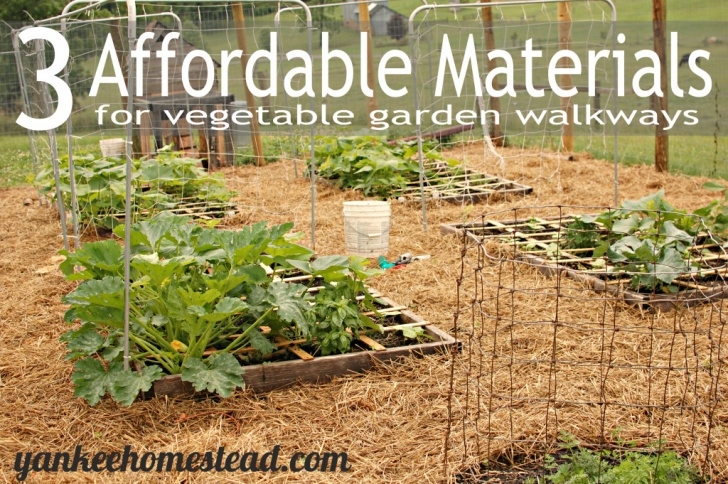 Compost For Vegetable Garden 3 Affordable Materials For Vegetable Garden Walkways Picture 229