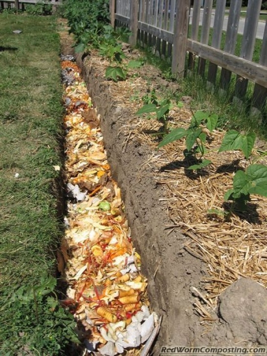 Compost For Vegetable Garden Compost Trenchwhen I Start My Garden | Jardín De Photo 101