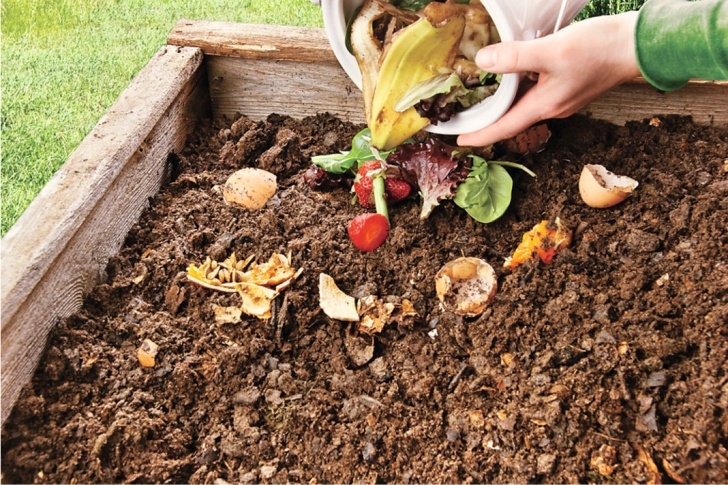 Compost For Vegetable Garden Five Things You Must Never Put In Your Compost Pile Image 055