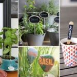 Container Garten Ideen Diy Plant Marker Ideen Photo 719