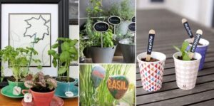 Container Garten Ideen Diy Plant Marker Ideen Photo 719 Container Garten Ideen Diy Plant Marker Ideen Photo 719