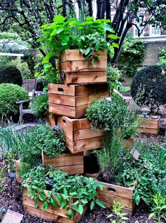 Container Garten Ideen Kräutergarten Mal Anders Image 453