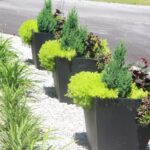 Countryside Landscapes And Garden Centre Commercial Container Gardens | Countryside Garden Centre Image 071