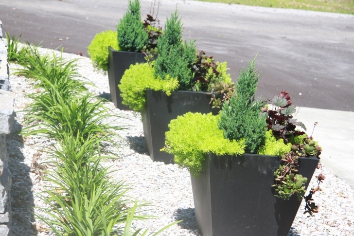 Countryside Landscapes And Garden Centre Commercial Container Gardens | Countryside Garden Centre Image 071