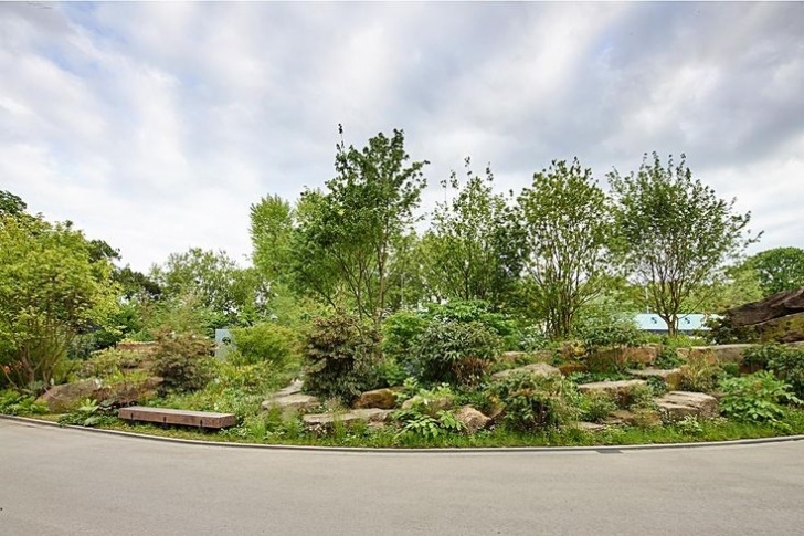 Dan Pearson Landscape 346 Best Dan Pearson Images On Pinterest | Yard Design Photo 186