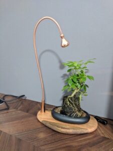 Decorative Grow Lights Indoor Plants Indoor Plant Needs Light? Try This Plant Tray / Display Picture 552
